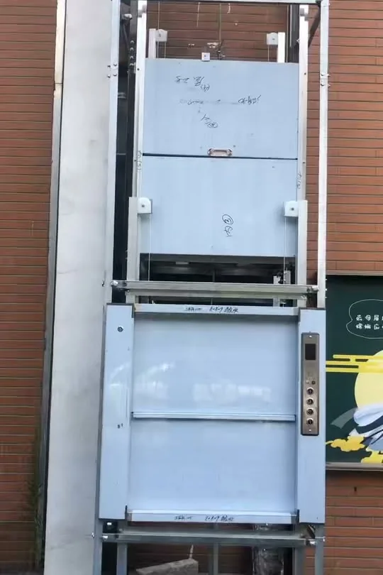 GOELEV finished dumbwaiter car — double-door stainless build